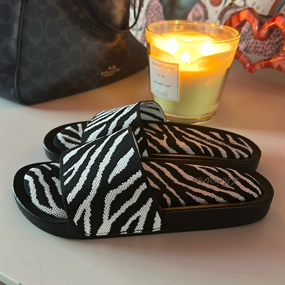 Zebra Slides - Picture 2 of 3